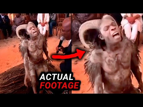 Unraveling The Mystery Behind The Nocarekali Viral Video