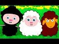 Baa Baa Black Sheep | Nursery Rhymes Collection | Kids Songs by Teehee Town
