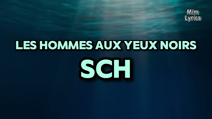 SCH - Les hommes aux yeux noirs (Paroles/Lyrics) | JVLIVS Prequel Guilio