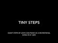 Tiny steps giant steps by john coltrane as a microtonal song in 31 edo