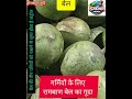 गर्मियों में रामबाण है बेल का गूदा #trending #gorakhpur #trendingnews #ayurved