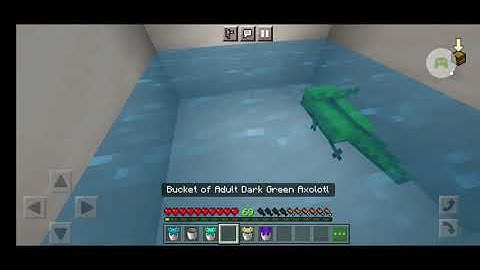 More Axolotl Variants Addon [dev log #2]