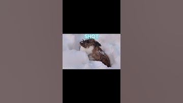 Take a brake from scrolling and go to sleep | original edit | #edit #mind core #nature