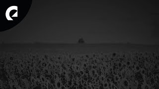 Hara Noda - New (Royalty Free Jazz)