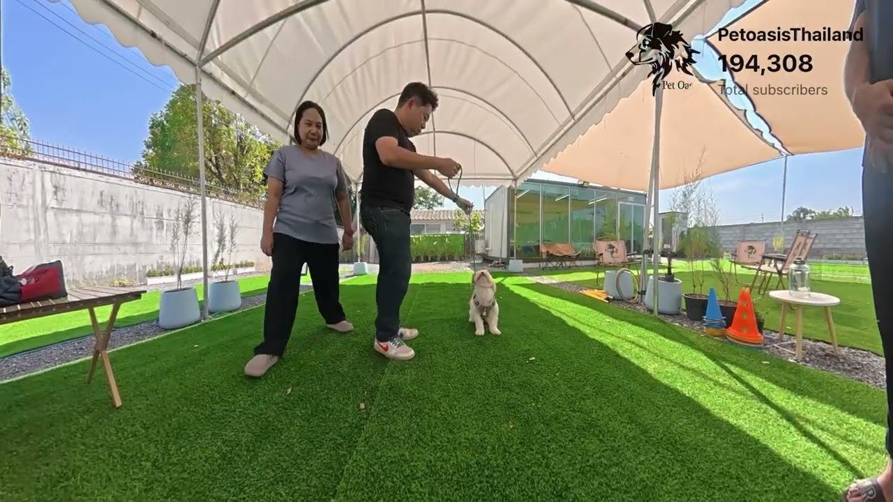 สอนสุนัขเชิงบวก : หมูยอ ดุ ? 