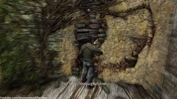 Uncharted 3: Drake