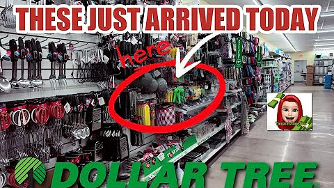 DOLLAR TREE🚨THESE JUST ARRIVED FOR ONLY $1.25…SHOCKING NEW ARRIVALS🤯 #shopping #new #dollartree 