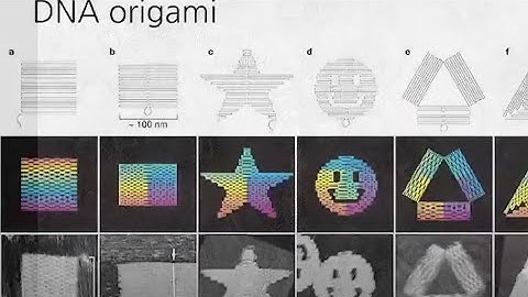 Clip: 2015 On DNA Origami Nano Robots And Remote Activation