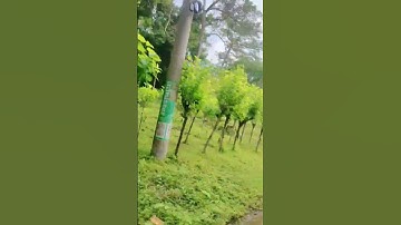 #reels #egzonibrahimi #ikhlas #سورة_الإخلاص #reels #nature #surah