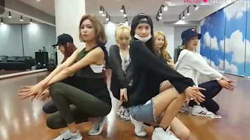 GIRL'S GENERATION (소녀시대) 'LION HEART' Mirrored Dance Practice