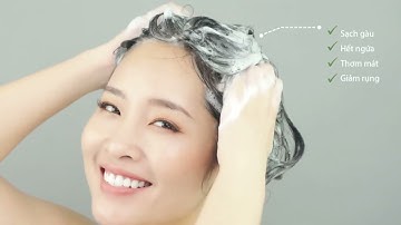 Giới thiệu về cá công dụng của sản phẩm DẦU GỘI VÀ DẦU XẢ AMLA DETOX