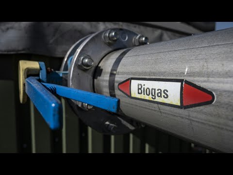 Update Kann Biogas die Versorgungslücken schließen? | AFP