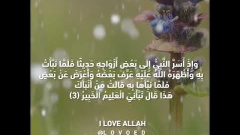 سورة التحريم ياسر الدوسري من الايه 1 الي 4 - سورة التحريم بأسلوب جميل الشيخ ياسر الدوسري