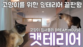 고양이 집에 함께 사는 집사를 위한 캣하우스, 고양이 친화적 인테리어 (feat. 펫테리어!? 캣테리어!!)