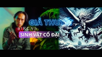 Sự thật về "Người Cá" mà có thể bạn chưa biết 🧜‍♀️
