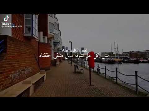 حالات وائل جسار مش كل حلم نشوفه سهل