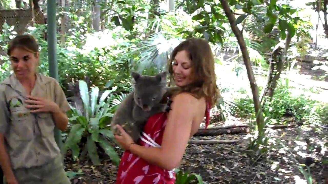 Lone Pine Koala Sanctuary - Brisbane QLD, zoo girl picks nose - YouTube