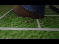 Animation of peach flattened during tennis game
