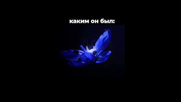 Rust в 2023 #rust #раст