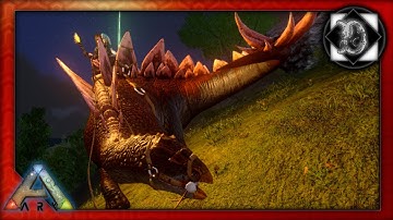 High level Stego Tame/ Excellent PVP Dino!