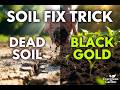 The Secret Wood Chip Method That Turns DEAD Soil Into BLACK GOLD FAST (Gardeners h)
