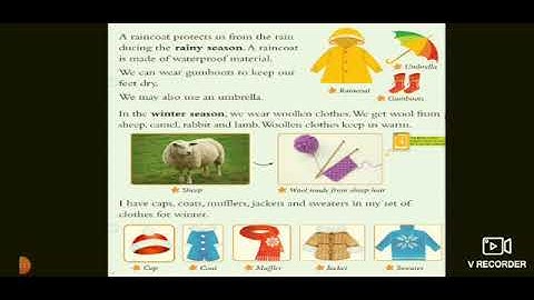 Grade 1 EVS | Clothes | Lesson 6 | CBSE