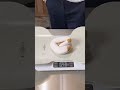 Monthly Weight Tracking #ballpython #reptiles #pets #snake #python