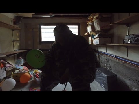 LEAFYISHERE, I THINK I FINALLY SNAPPED