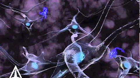 Neurotransmission - 3D Medical Animation - DayDayNews