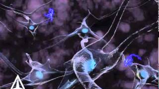 Neurotransmission  3D Medical Animation