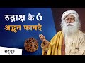 6 amazing benefits of rudraksha benefits of wearing rudraksh  sadhguru hindi