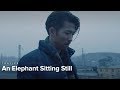 An Elephant Sitting Still | Trailer | Opens March 8