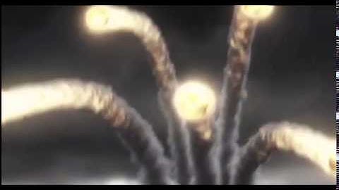 Trailer Official - L2 Lethal