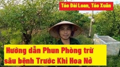 Máy Hỏng Đeo Bình Phun Táo Xuân, Đài Loan Trước Khi Hoa Nở Rộ I Nui Doi Luc Ngan 98