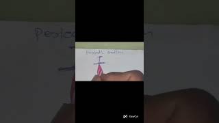 Undergraduate Physics | Periodic Motion (Easy Explanation with Examples)
