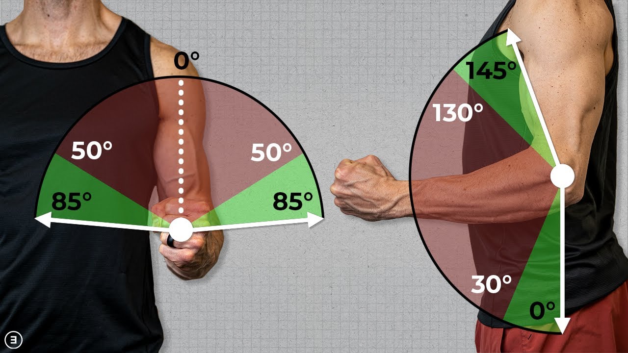 Elbow Flexion And Extension Exercises