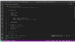 Celebrity Count number of bits to be flipped to convert A to B | Bits Manipulation | Python Net Worth