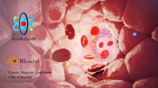 Create Vascular Endothelial Cells in Blender