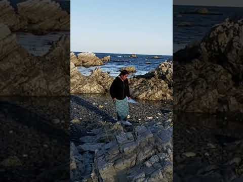 Just walking Kaikōura shore