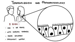 Understanding Influenza - The Flu by Armando Hasudungan 6,843 views 1 month ago 5 minutes, 39 seconds