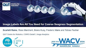 Image Labels Are All You Need for Coarse Seagrass Segmentation - WACV 2024 Video