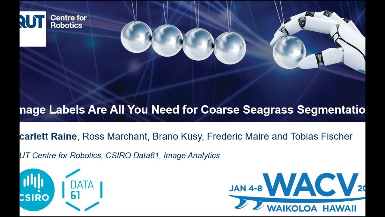Image Labels Are All You Need for Coarse Seagrass Segmentation WACV