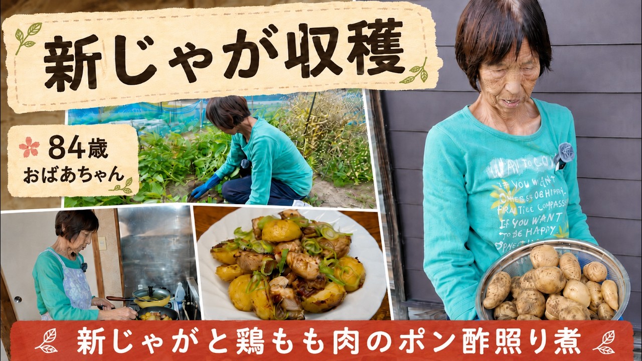 New Potato Harvest] An 84-year-old grandmother makes 