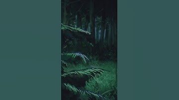 super jump 😁 #anime #nistudio #viral #animation #teentitans #starfire #2danimation #animation