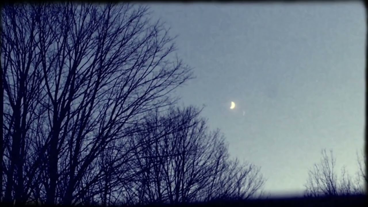 Watch Cicadas - Solstice Version (Visualizer) on YouTube Watch Cicadas - Solstice Version (Visualizer) on YouTube