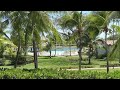 Tropical Breeze &amp; Palm Trees · A quiet afternoon in Buenaventura, Panama · 5 hours 🌴🐤