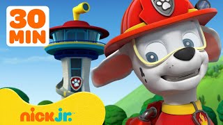 PAW Patrol Lookout Tower Adventures! w/ Marshall, Chase & Skye | 30 Minute Compilation | Nick Jr.