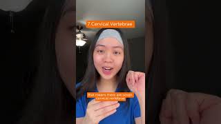 Learn This Spine Mnemonic