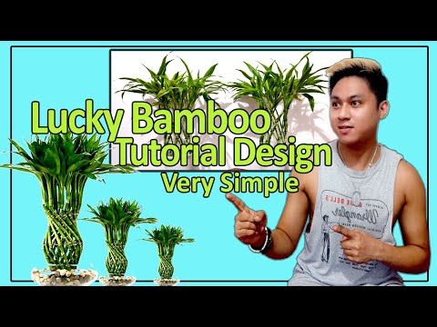 Video: Sådan Spinder Du Bambus I En Spiral