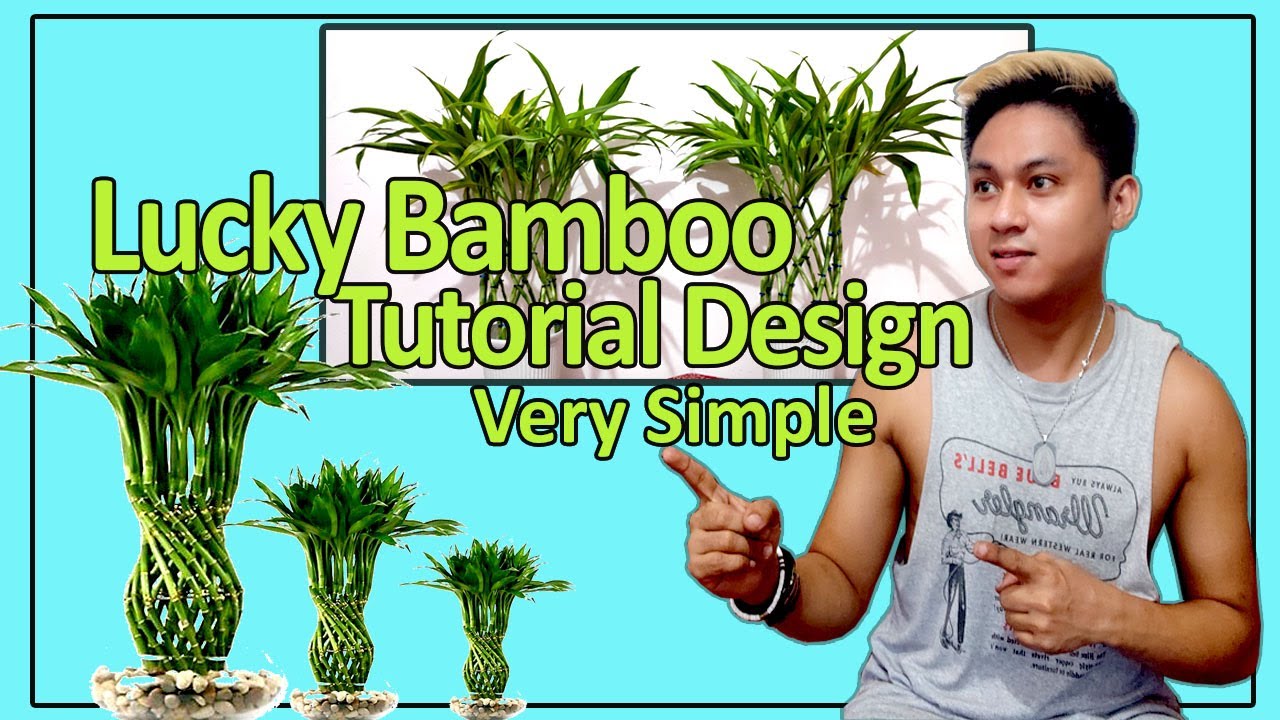LUCKY BAMBOO TUTORIAL II HOW TO MAKE SIMPLE DESIGN II VERY EASY - YouTube